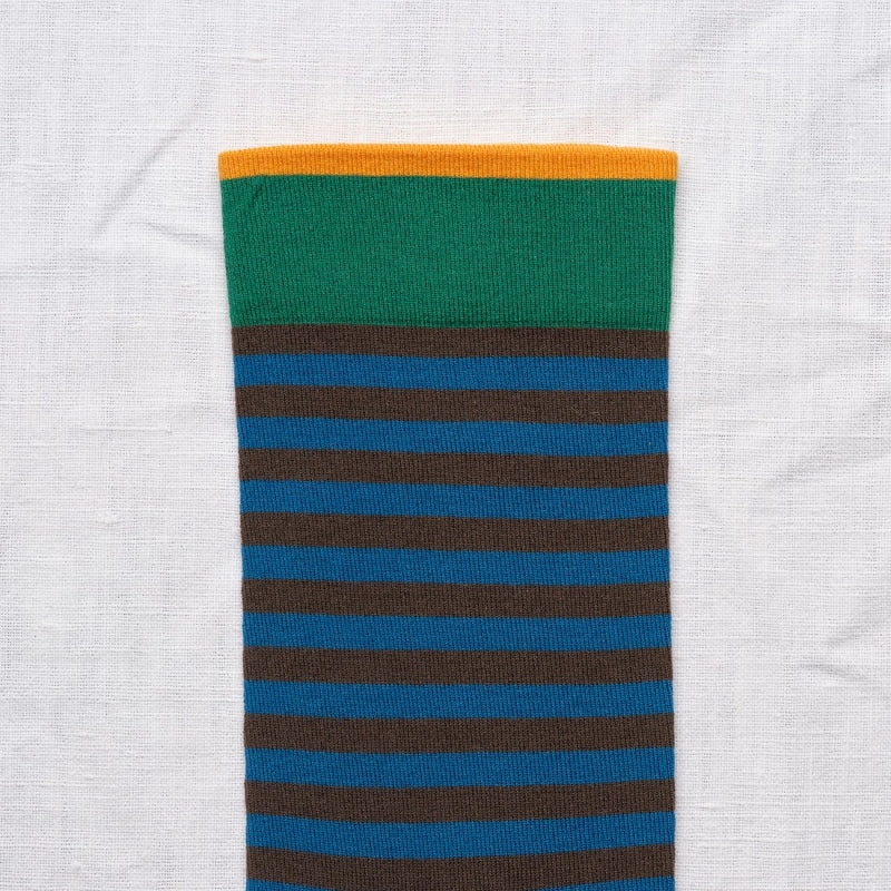 Umber Stripes Socks BR301