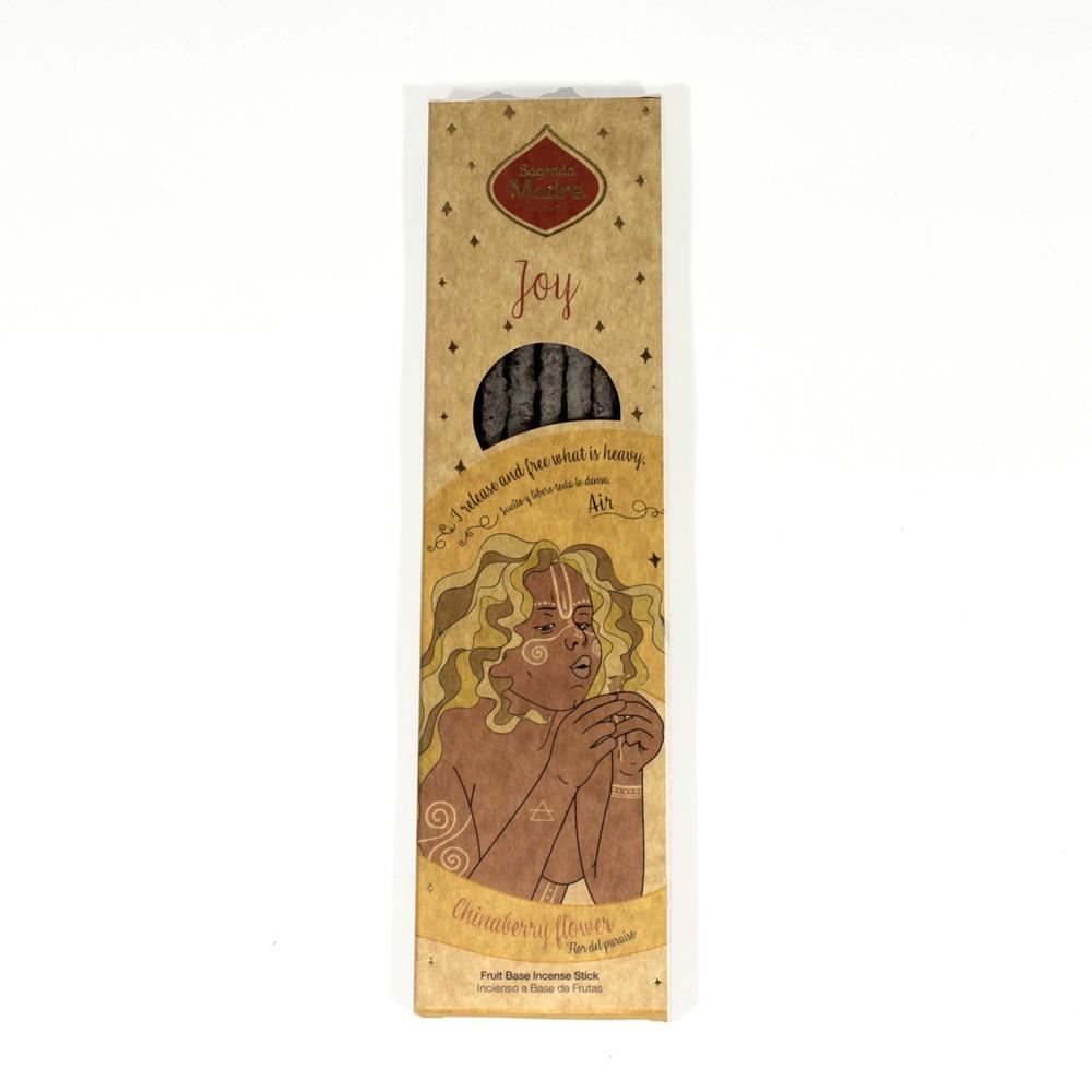 Incenso 6 bastoncini Aria – Allegria