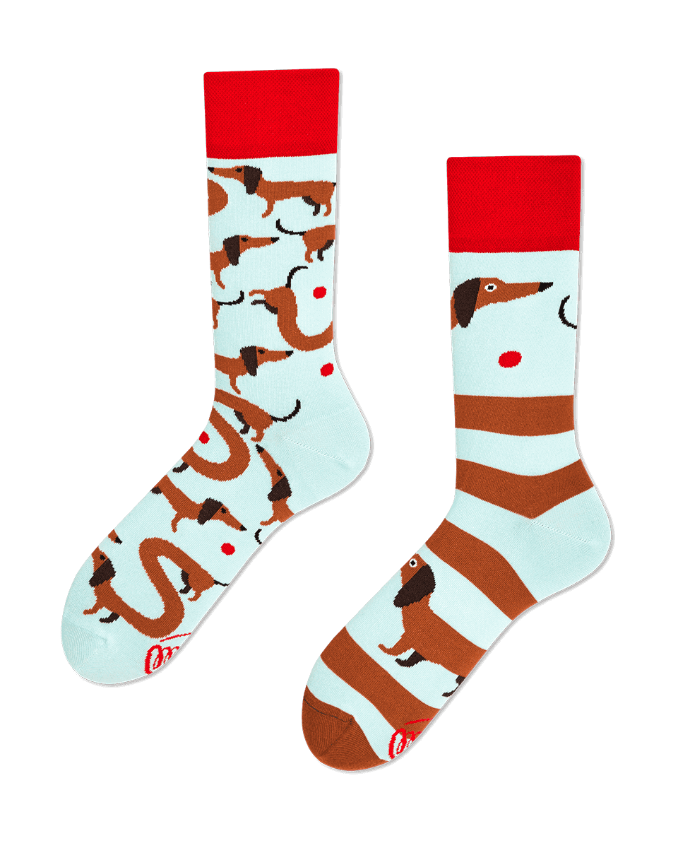 Sausage Dog Socks