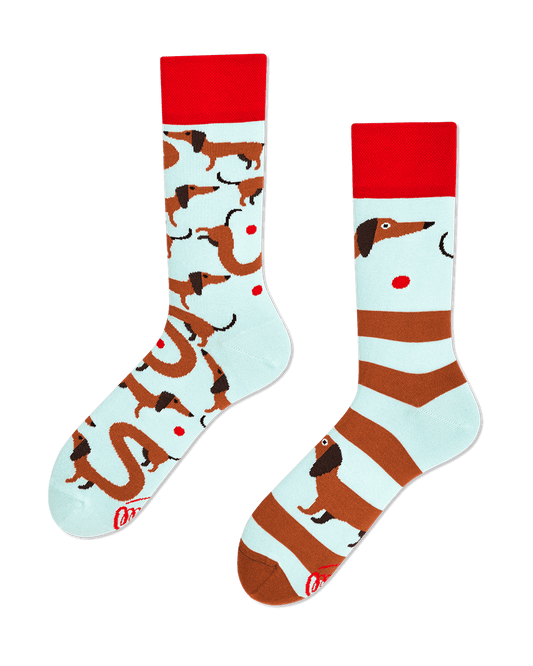 Sausage Dog Socks