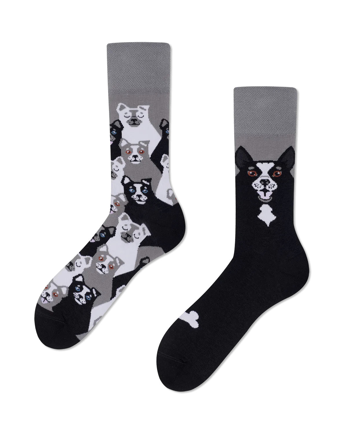 Black Dog Socks