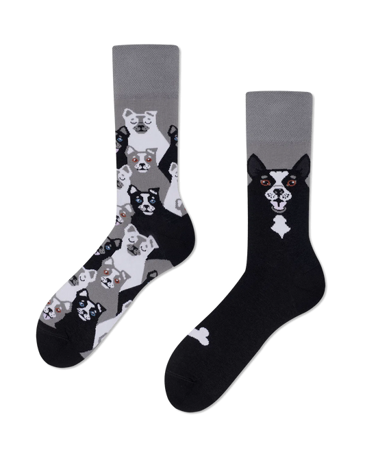 Black Dog Socks