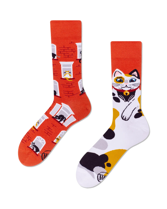 City cat Socks