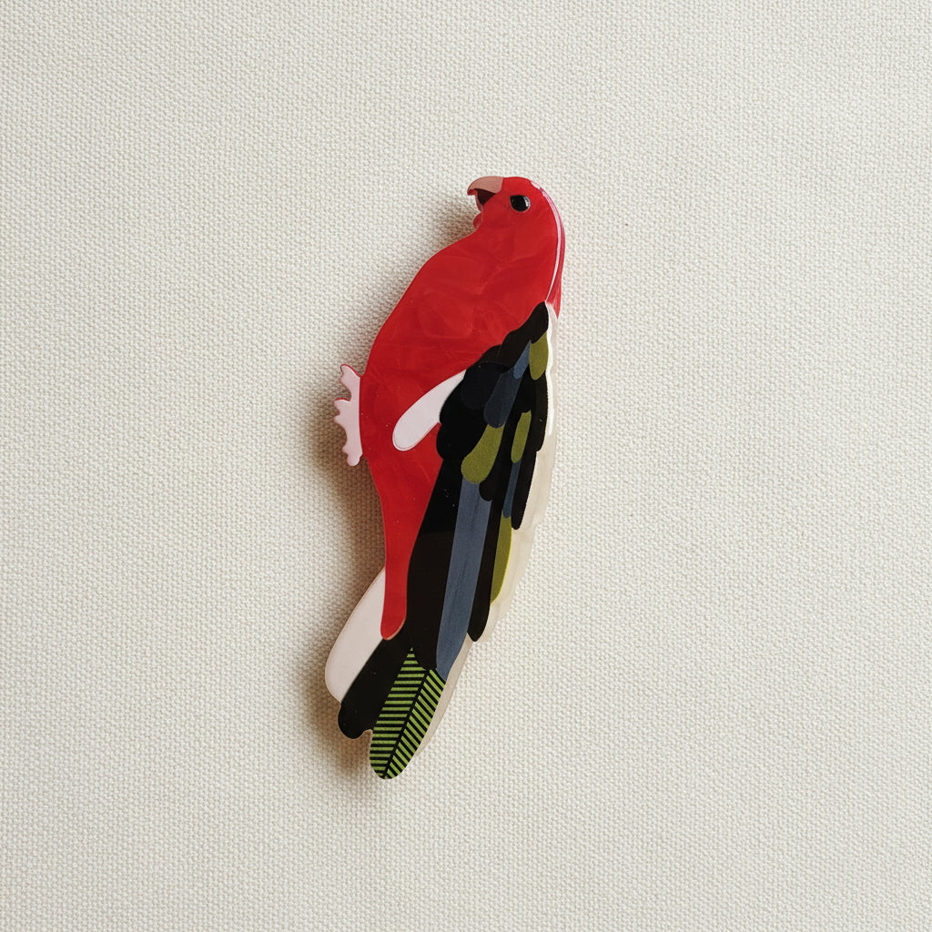 🦜" parrot " hair Clips.